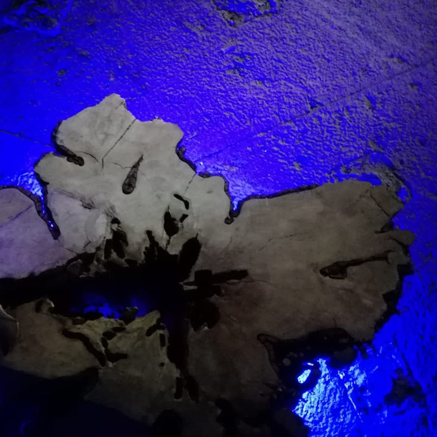 Time maps (particolare), 2019
