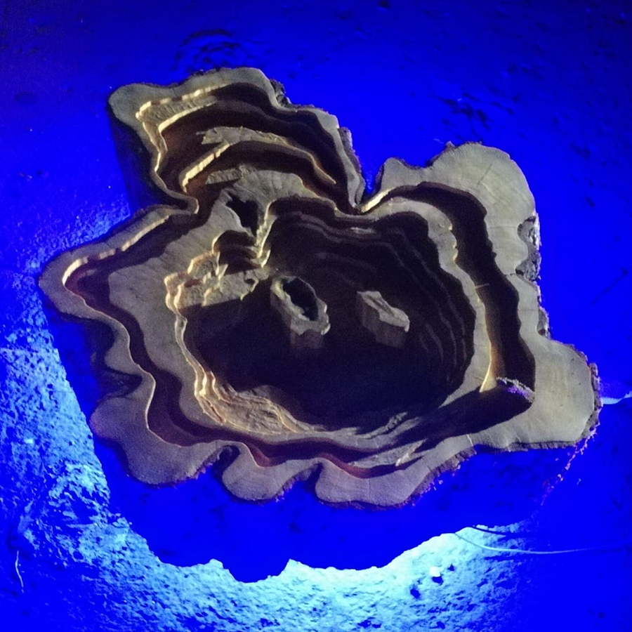 Time maps (particolare), 2019
