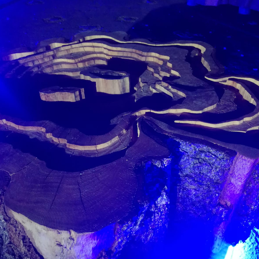 Time maps (particolare), 2019